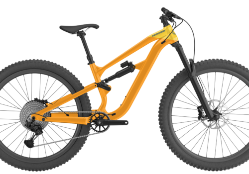 CANNONDALE 29 U HABIT LT 2 SBK LG