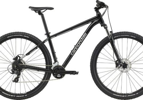 CANNONDALE 29 M TRAIL 8 GRY XL (X)