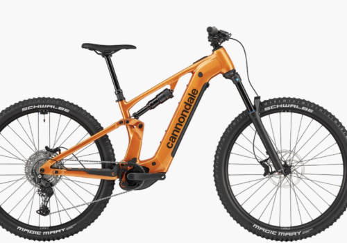 CANNONDALE 29 U MOTERRA 4+ TGE LG CA92597